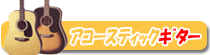 �A�R�[�X�e�B�b�N�M�^�[